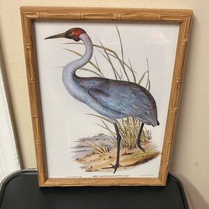 Framed Crane Art Print